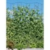 Gardeners Supply Company Tall Expandable Pea Trellis For Climbing Plants Outdoor | Sturdy Upright Garden Trellis For Vines, Tomatoes, Peas & Other Live Plants Support | 9'-3" L X 64" H Installed Steel - Red - Gardener's Supply Company 1 Gardeners Supply Company Tall Expandable Pea Trellis For Climbing Plants Outdoor | Sturdy Upright Garden Trellis For Vines, Tomatoes, Peas & Other Live Plants Support | 9'-3" L X 64" H Installed Steel - Red - Gardener's Supply Company -Outdoor Decoration Store GUEST 079c79d5 1b1f 491e 8d04 745043c1a025