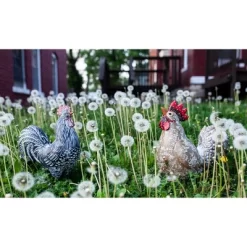9.84" Resin Rooster Garden Statue White/Gold/Red - Exhart -Outdoor Decoration Store GUEST 0e3c3ccd dabd 419d 92b8 a9b1de350e01