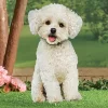 Collections Etc Realistic Bichon Frisé Outdoor Garden Stake -Outdoor Decoration Store GUEST 1221dd73 6e49 4125 8c18 cc5dfcf4cd99