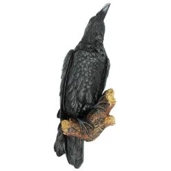 Design Toscano The Raven's Perch Wall Sculpture -Outdoor Decoration Store GUEST 124254c7 73a4 423c a343 b29d60aaedb6