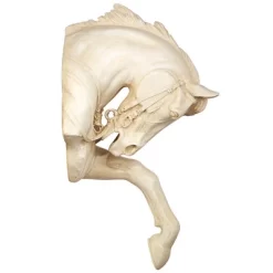 Design Toscano The Thoroughbred Horse High Relief Wall Sculpture -Outdoor Decoration Store GUEST 1dc1d995 98ba 45ef 906c 278d4cc8b782