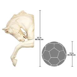 Design Toscano The Thoroughbred Horse High Relief Wall Sculpture -Outdoor Decoration Store GUEST 48f1970c 7871 4897 acb1 b4bd84cc149f