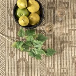 NuLOOM Brandy Transitional Celtic Indoor And Outdoor Patio Area Rug -Outdoor Decoration Store GUEST 49c21087 fb9a 4ae0 9f92 714af593d39f