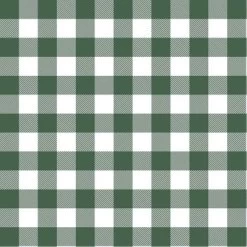 Classic Gingham Outdoor Throw Pillow Evergreen - Skyline Furniture -Outdoor Decoration Store GUEST 7b7e7ec0 25c3 4c53 9f80 6f857b049b73