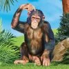 Collections Etc Realistic Sitting Chimp Outdoor Decorative Garden Stake -Outdoor Decoration Store GUEST 7d06bb43 8f54 4441 992f 5463ab42dcd6