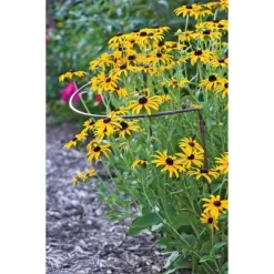 18" X 24" Jardin Half-Round Supports, Set Of 2