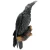 Design Toscano The Raven's Perch Wall Sculpture -Outdoor Decoration Store GUEST 9c1b41cd 2cba 4d7f 9db6 4005df973c7f