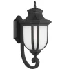 Sea Gull Lighting Childress 1 Light Black Outdoor Fixture -Outdoor Decoration Store GUEST af4e3a47 b9c8 4718 9066 d8e5bb5d3d9b