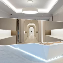 Costway 100' 2 Wire LED Rope Light Christmas Decorative Party In/Outdoor 110V Cool White -Outdoor Decoration Store GUEST bbee0f4f ffc9 4e8e 94a2 e115dd284ac6