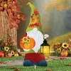 Collections Etc Solar Powered Lighted Fall Gnome Garden Stake Green