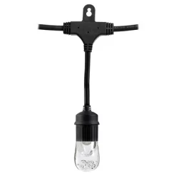12ct Classic Café Outdoor String Lights Integrated LED Bulb - Black Wire - Enbrighten