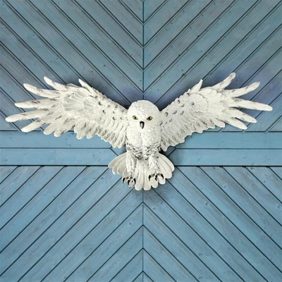 Design Toscano Mystical Spirit Owl Wall Sculpture - Multicolored 3 Design Toscano Mystical Spirit Owl Wall Sculpture - Multicolored
