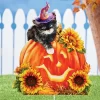 Collections Etc Adorable Halloween Kitten Outdoor Garden Stake -Outdoor Decoration Store GUEST d1748392 ee5d 432f 9da8 216727a29731