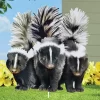 Collections Etc Realistic Skunk Trio Outdoor Garden Stake -Outdoor Decoration Store GUEST eb7eb4c4 5dcd 4b23 a3b2 fd31a27e6812